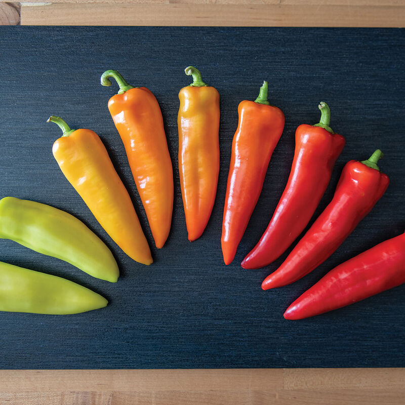 Hungarian Hot Wax – Organic Pepper Seed